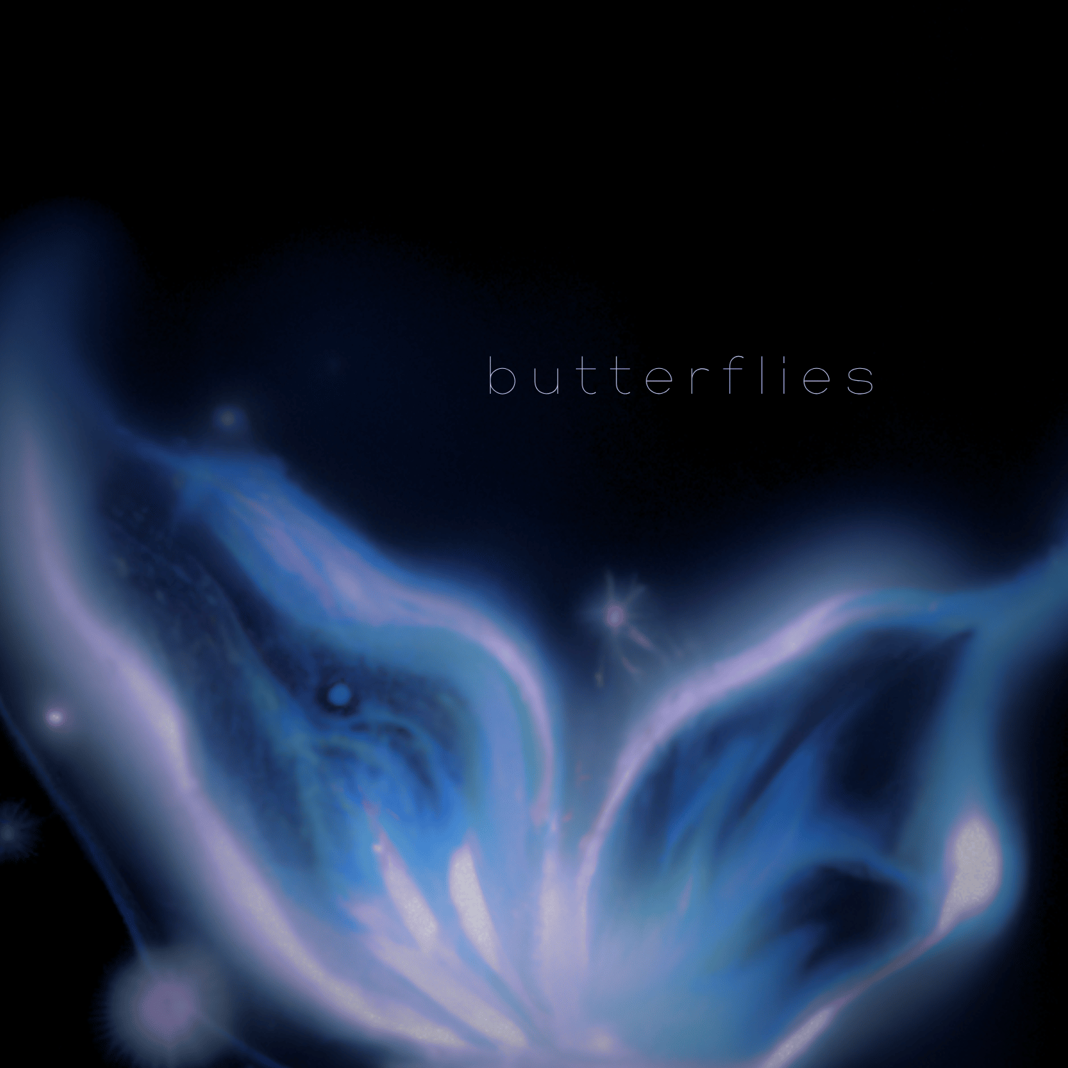 butterflies cover